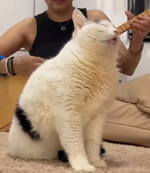 Screenshot 2025-11-14 at 18.27.40.png