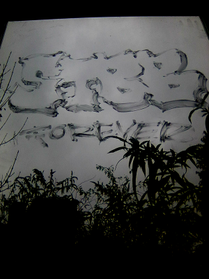 STBBF up.png STBBF up.png