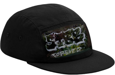 STBF 5 panel b.png STBF 5 panel b.png