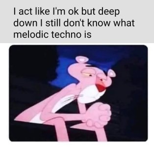 melodic techno pink panther.jpg