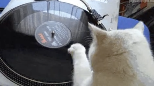 Screenshot 2026-02-19 at 16.07.26.png