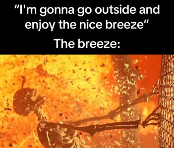 the breeze.jpg