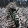 The Marksman