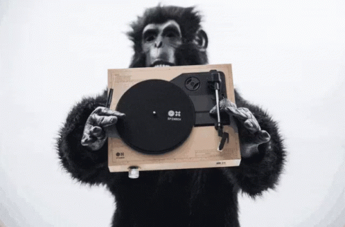 gorila-spinbox.gif