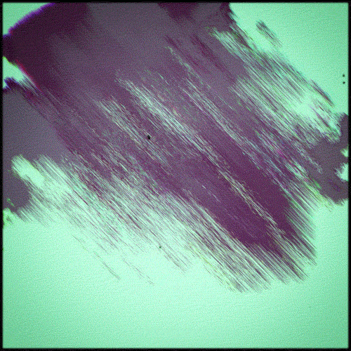 d654497d2aa10fc63ddd6fbc838fe51d.gif