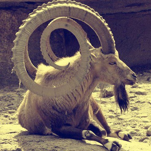 soundcloud.com